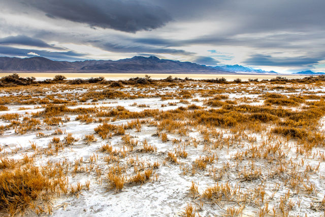 Black Rock Desert Nevada print