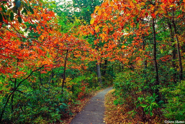 Blue Ridge Parkway Trail print