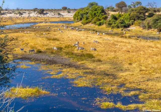 Botswana-View From Leroo La Tau print