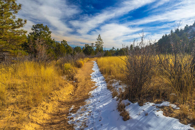 Bryce Canyon Tropic Trail print