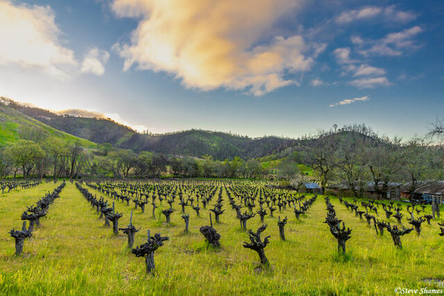 Calistoga Sunrise print