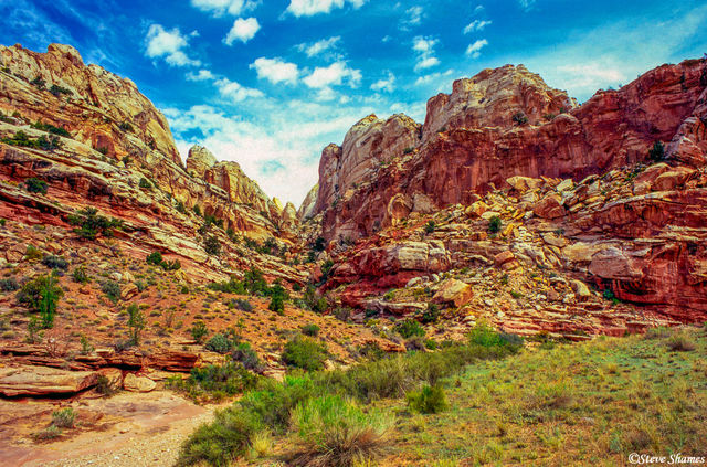 Capitol Reef, Utah print