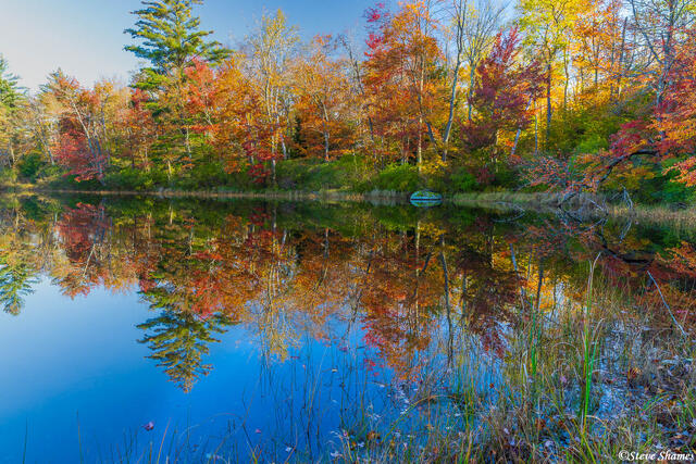 Clarksburg State Park print