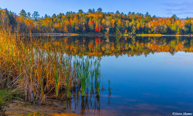 Clarksburg State Park Massachusetts print