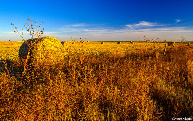 Colorado Field of Hay print