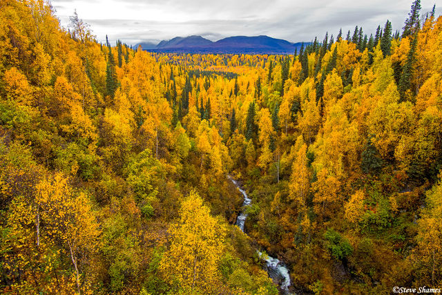 Creek Through Hills print