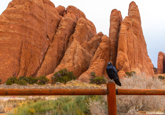 Crow Arches National Park print