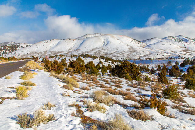 Desatoya Mountains print