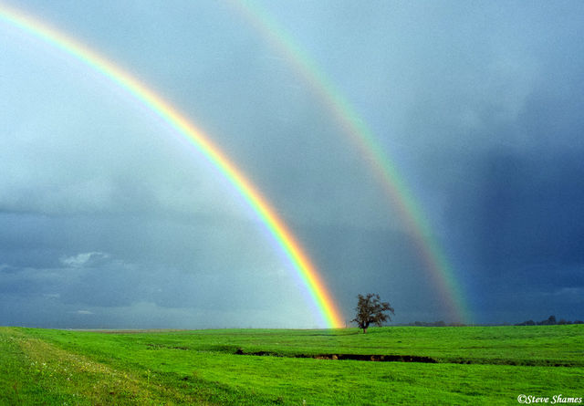Double Rainbow print