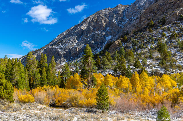 Fall Colors Mono County print