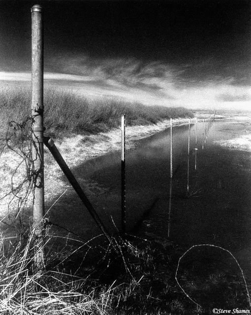 Fence Through Water print