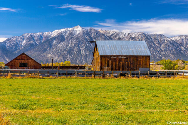 Gardnerville Nevada Barn print