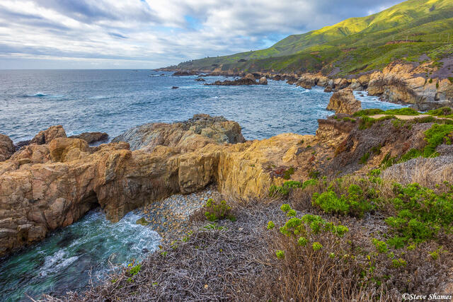Garrapata State Park print