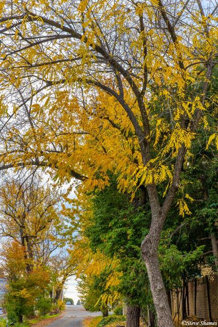 Georgetown Fall Colors print