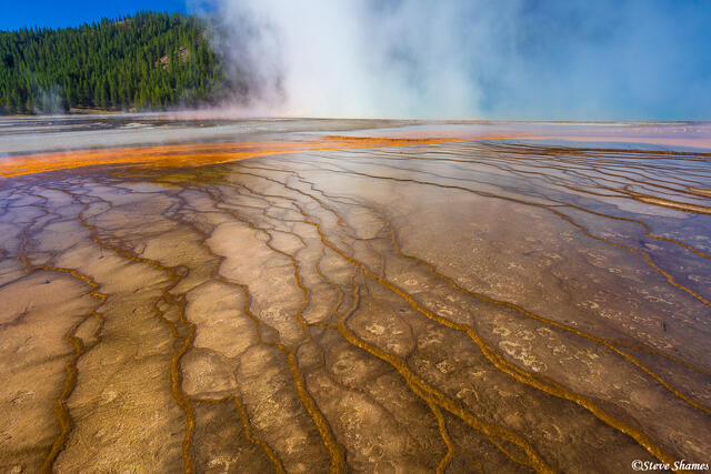 Geyser Basin Trail print