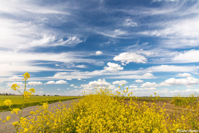 Great Springtime Sky print