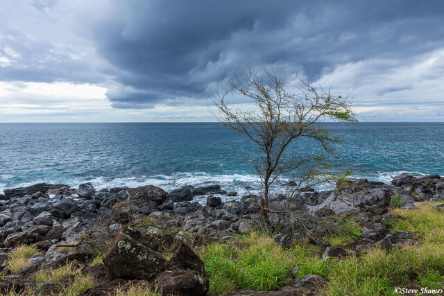 Hawaii West Coast print