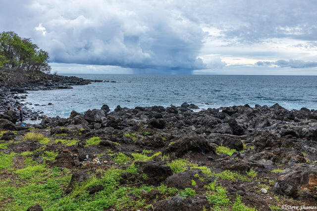 Hawaiian Lava Beach print