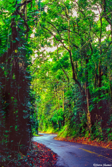 Hilo Road print