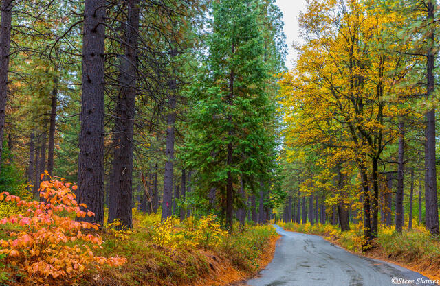 Iowa Hill Road print