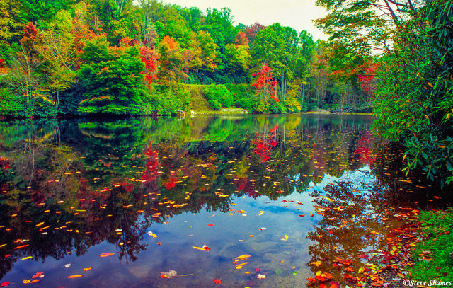Julian Price Lake print
