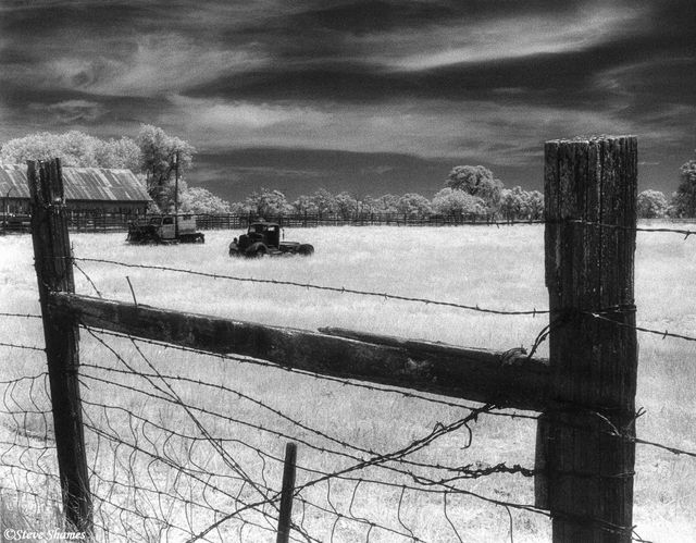 Junked Trucks in Field print