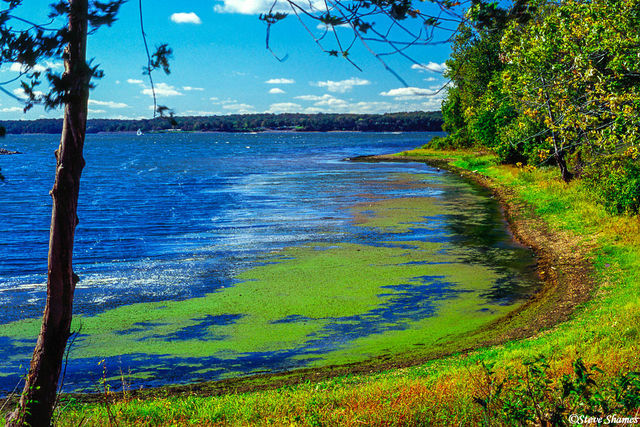 Kentucky Lake, Kentucky print