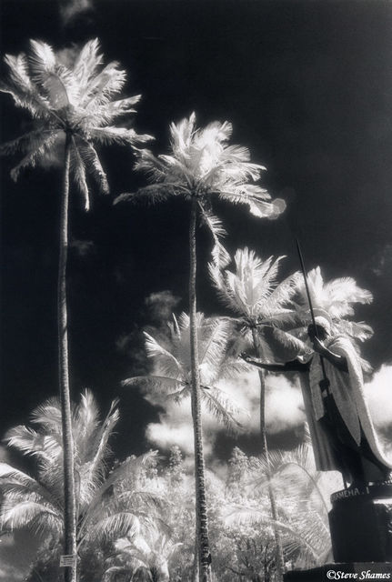 King Kamehameha print