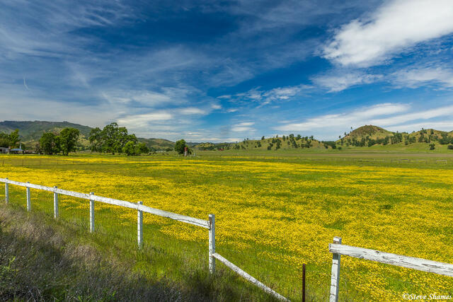 Lake County Spring Colors print