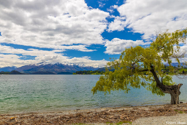 Lake Wanaka print
