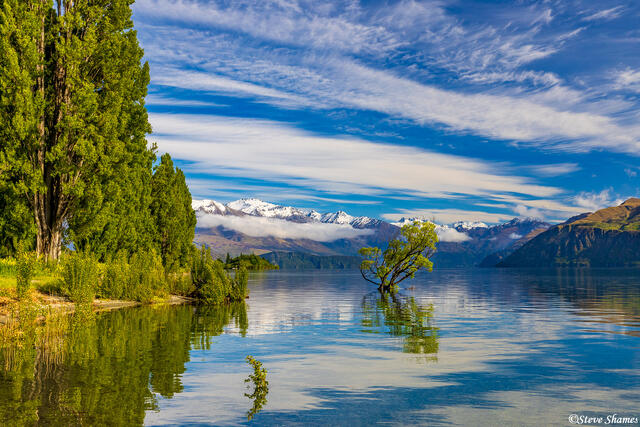 Lake Wanaka Tree in Lake print