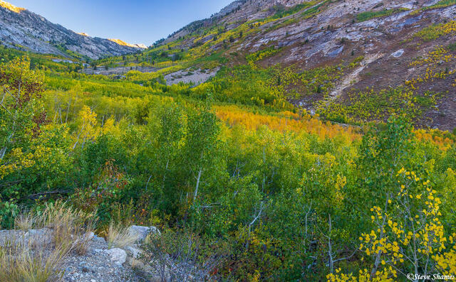Lamoille Canyon Nevada print