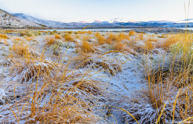 Lee Vining Snow print