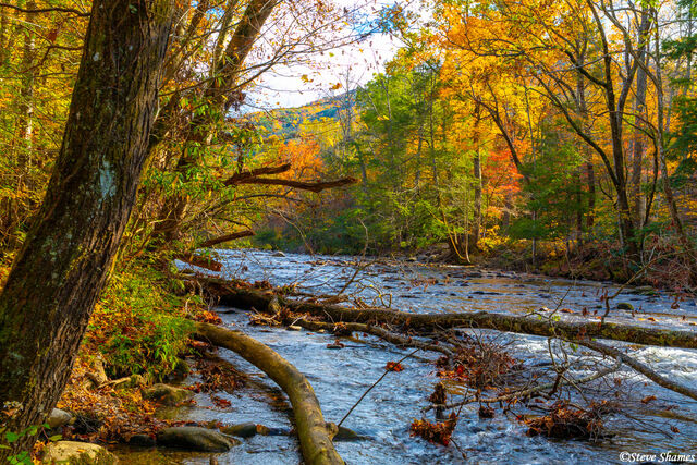 Little River Tennessee print