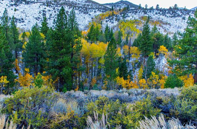 Lundy Lake Fall Colors print