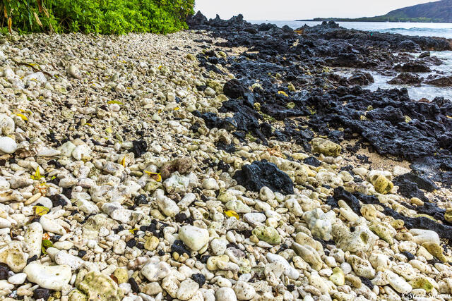 Manini Beach Hawaii print