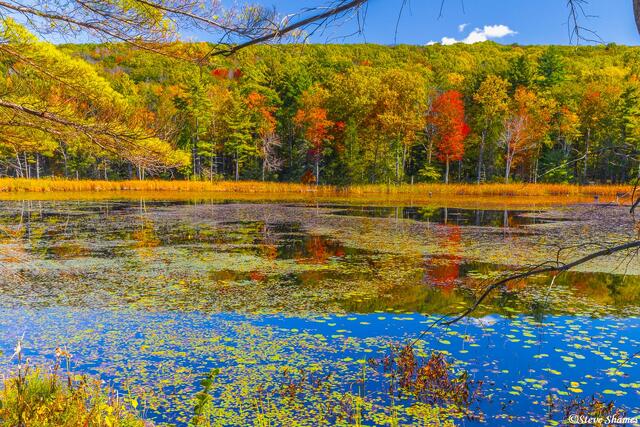 Massachusetts Fall Colors print