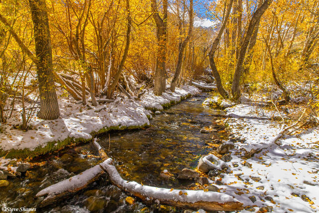 McGee Creek Mono County print