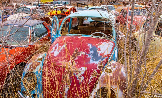 Moab Volkswagen Junkyard print