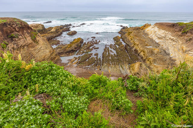 Montana de Oro Bluff Trail print