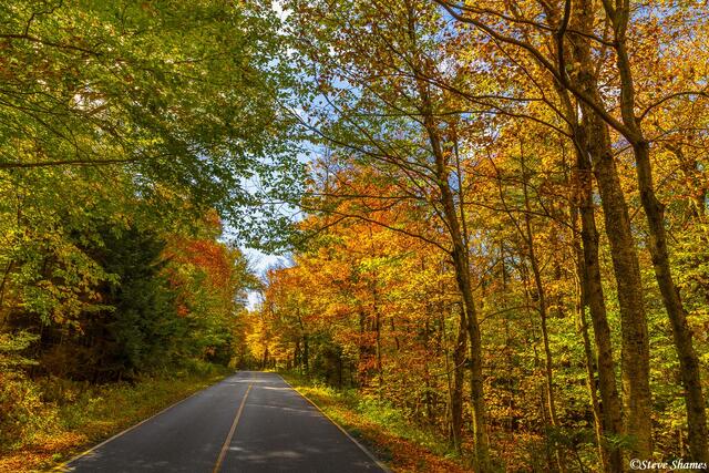 Mt. Greylock Road print