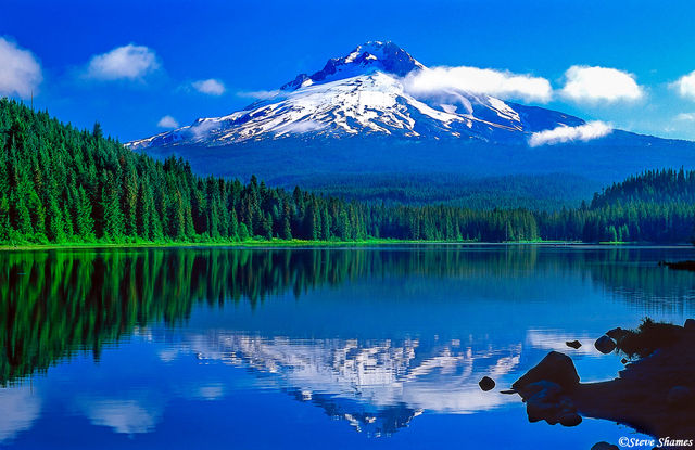 Mt. Hood Trillium Lake print