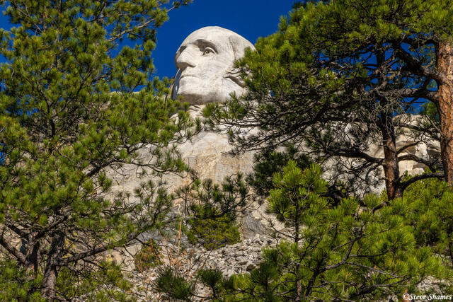 Mt Rushmore Washington View print