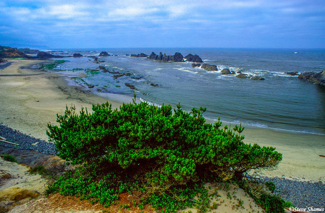 Newport Oregon print