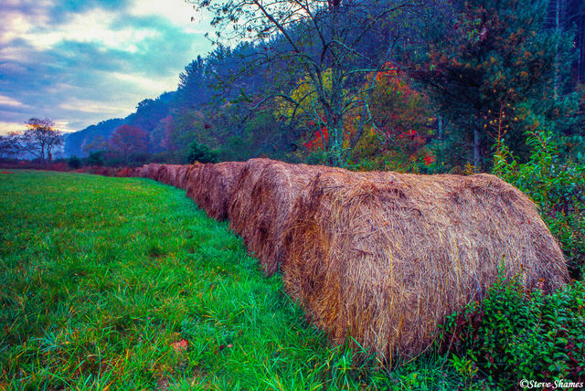 North Carolina Hay Bales print