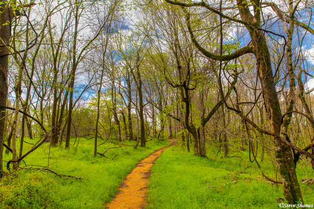 Old Natchez Trace Parkway print