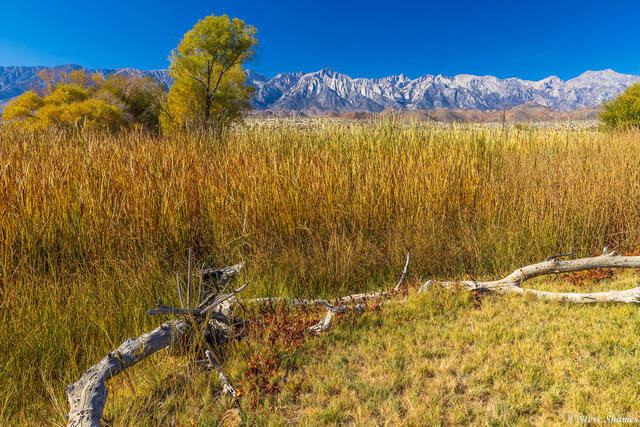 Owens River Lone Pine print