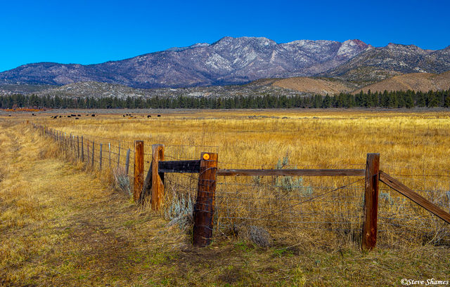 Palms to Pines Hwy 74 print