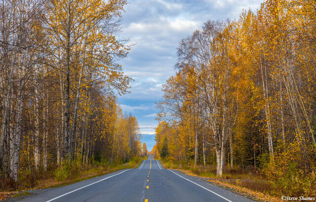 Petersville Road Alaska print