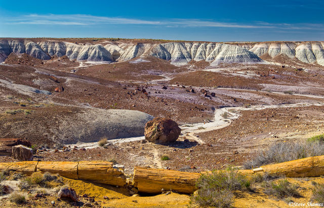 Petrified Forest National Park print